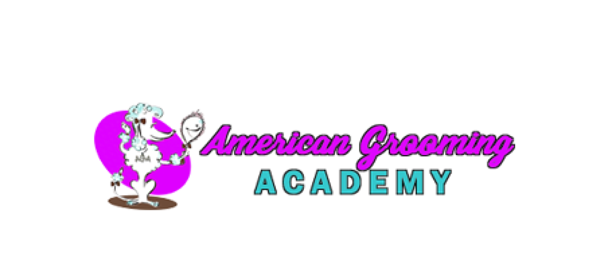 American grooming academy-1