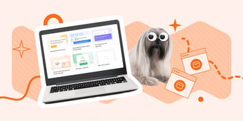cute dog next to a laptop with email marketing templates on screen