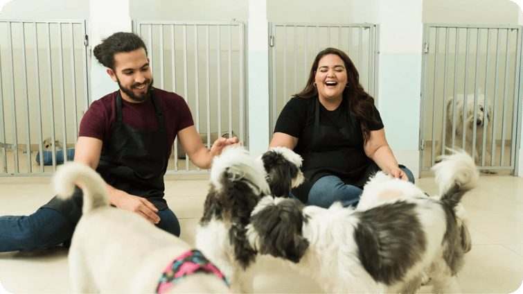 PetCare_general