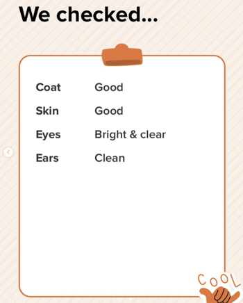 health check including skin, ears, and eyes