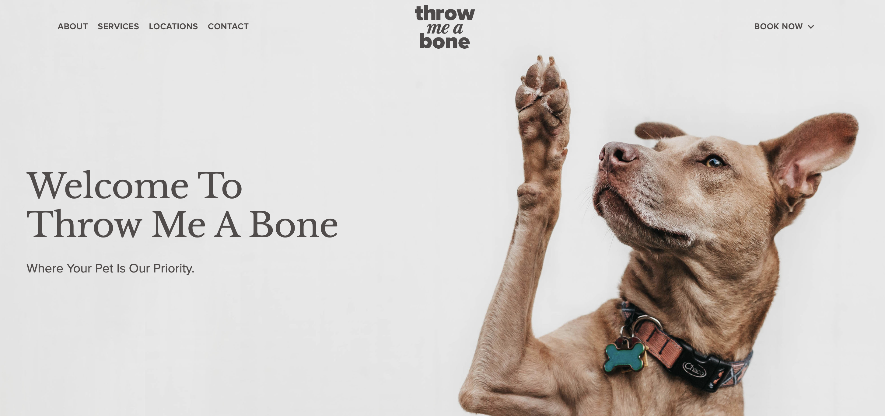 Throw Me a Bone Dog Groomers