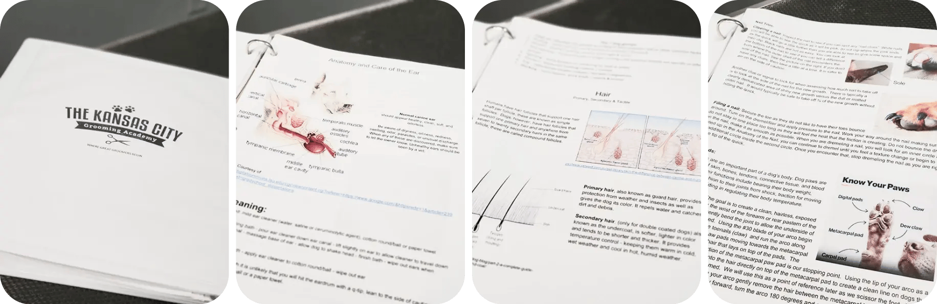 crafting customized textbooks