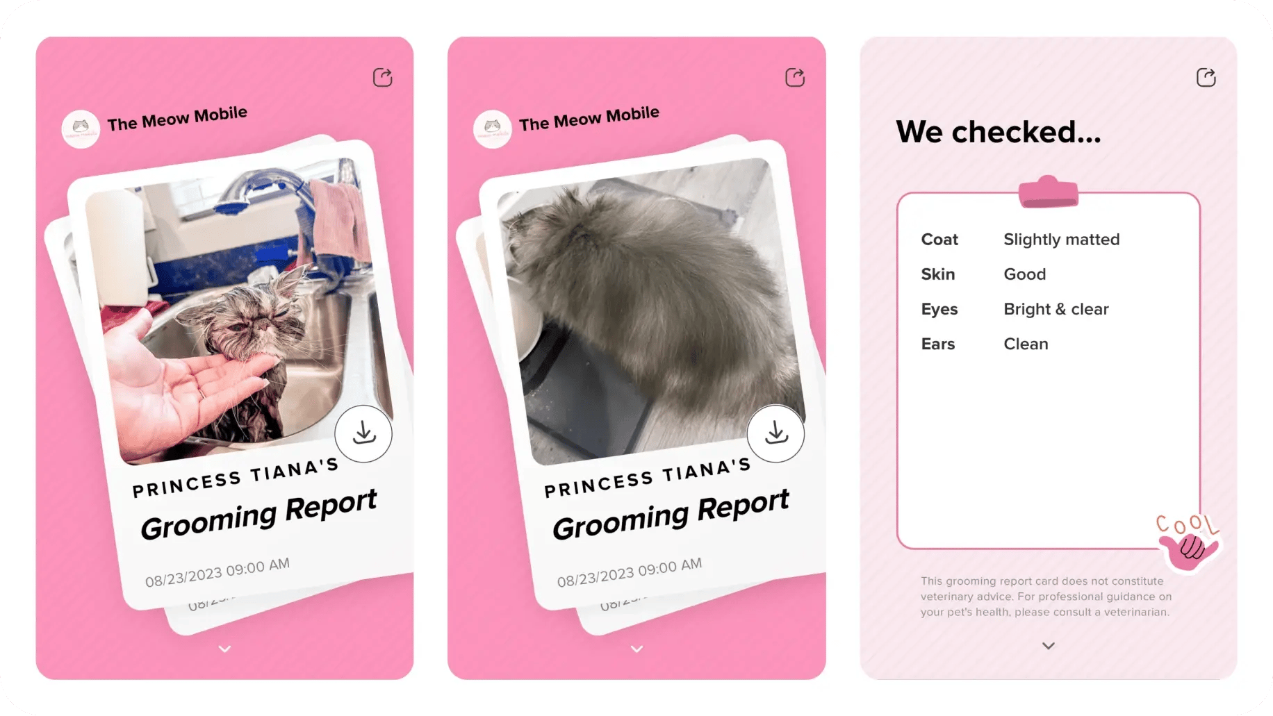 grooming report