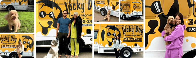 lucky dog collage