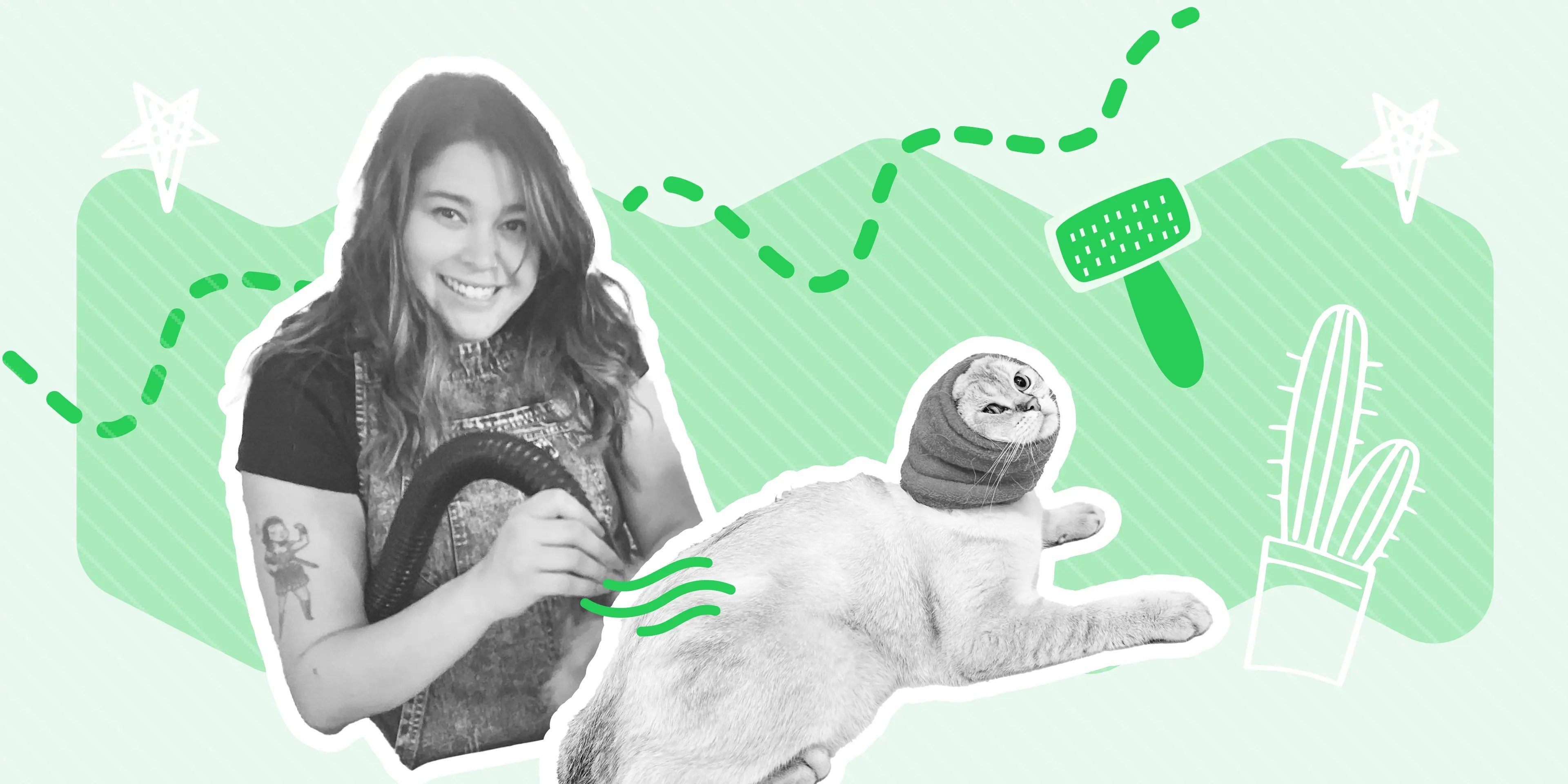 myth vs fact everything you need to know about cat grooming misconceptions