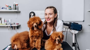 a pet groomer who is a woman in a salon with three cute dogs