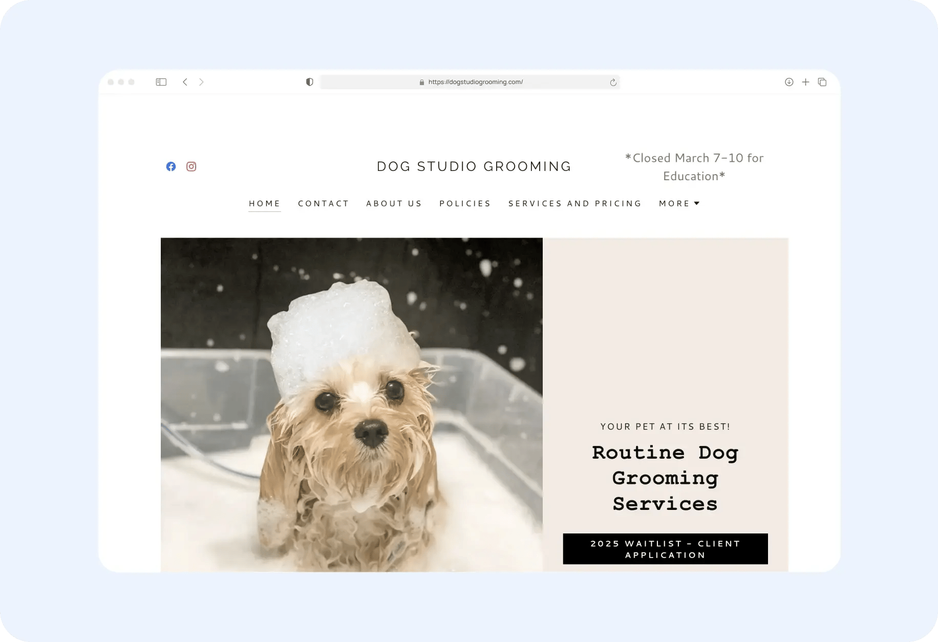 the dog studio website