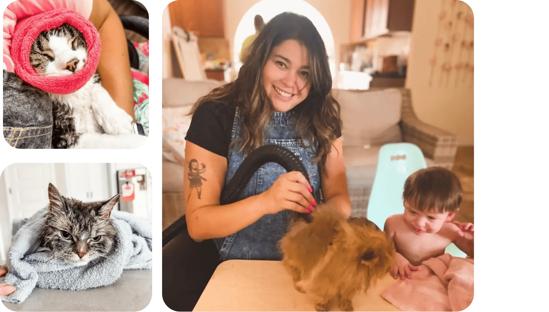 the petrepreneur certification program-1