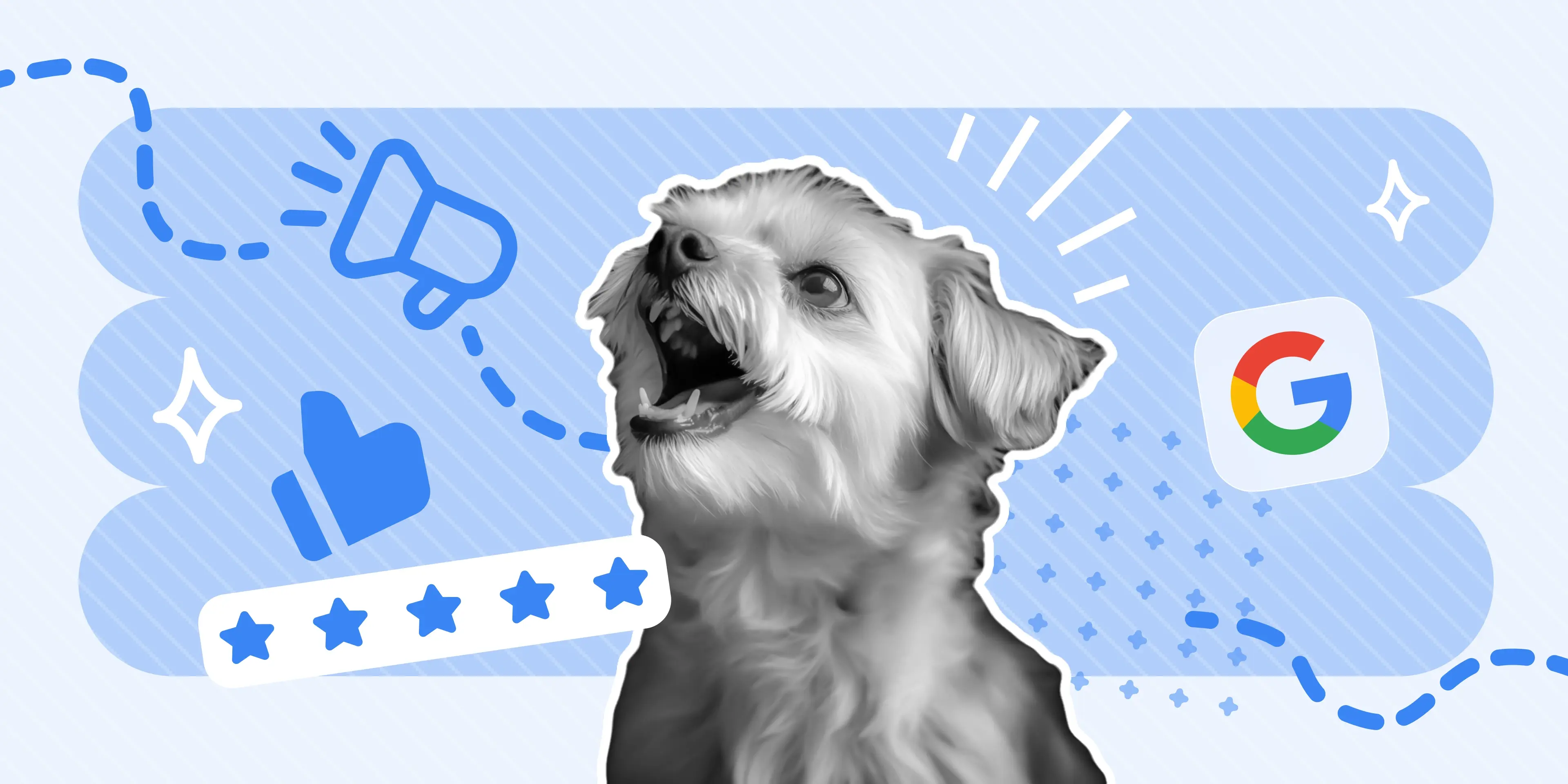 7 Pet Grooming Marketing Strategies (No Paid Ads)