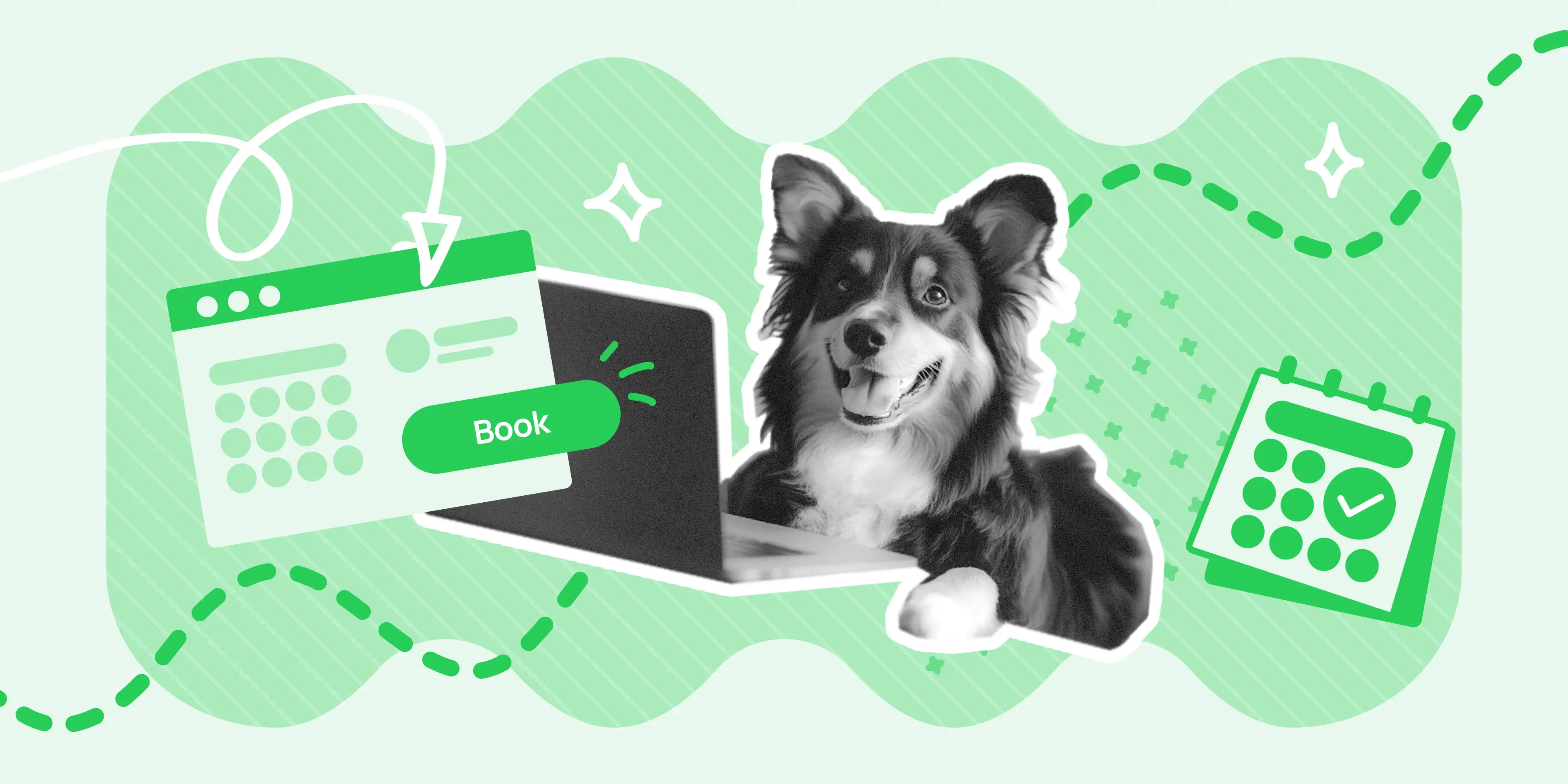 8 Reasons Why Online Booking Helps Grow Your Business - grooming - pet service