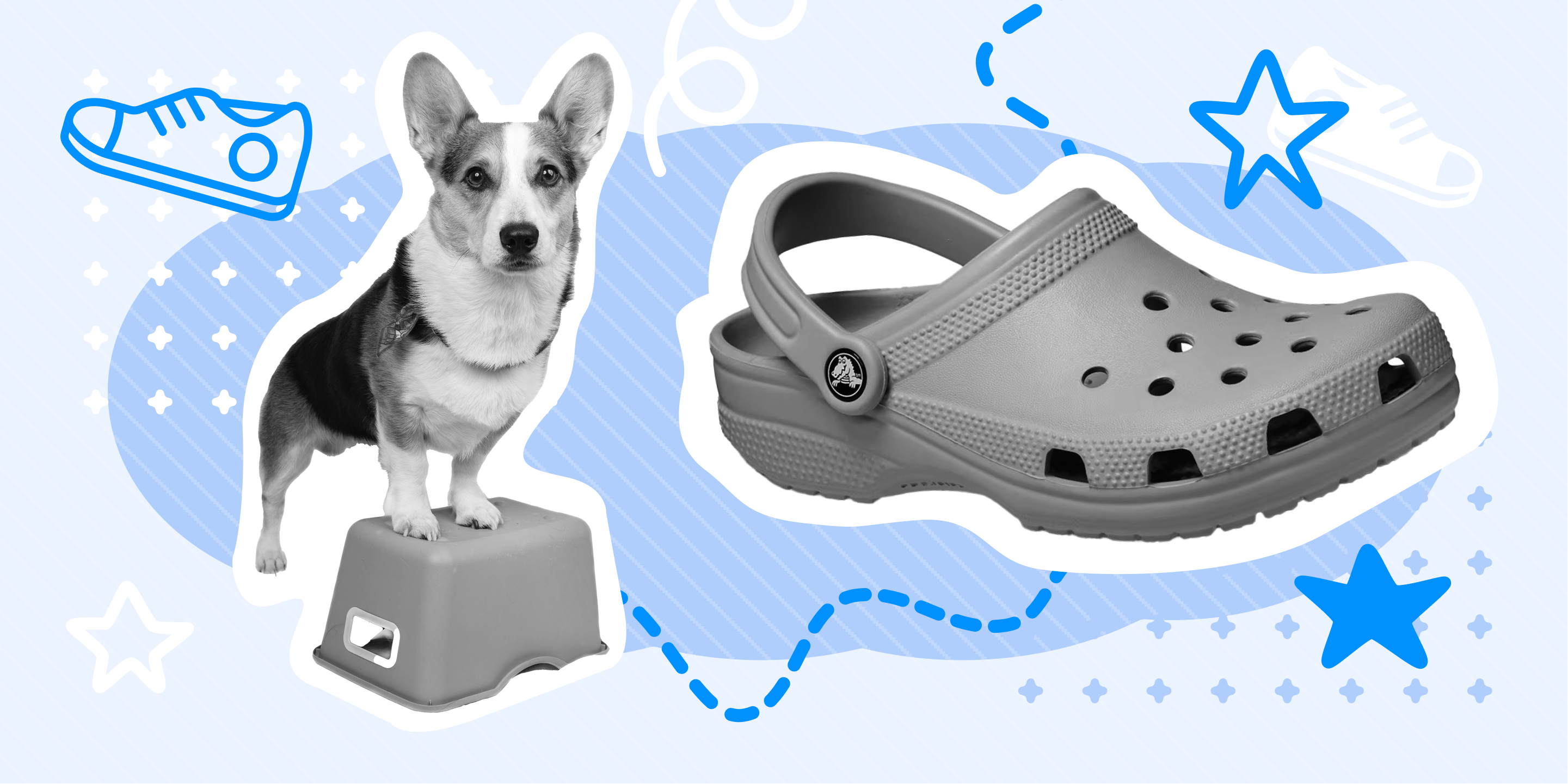 The Best Shoes for Dog Grooming (2023 Edition)