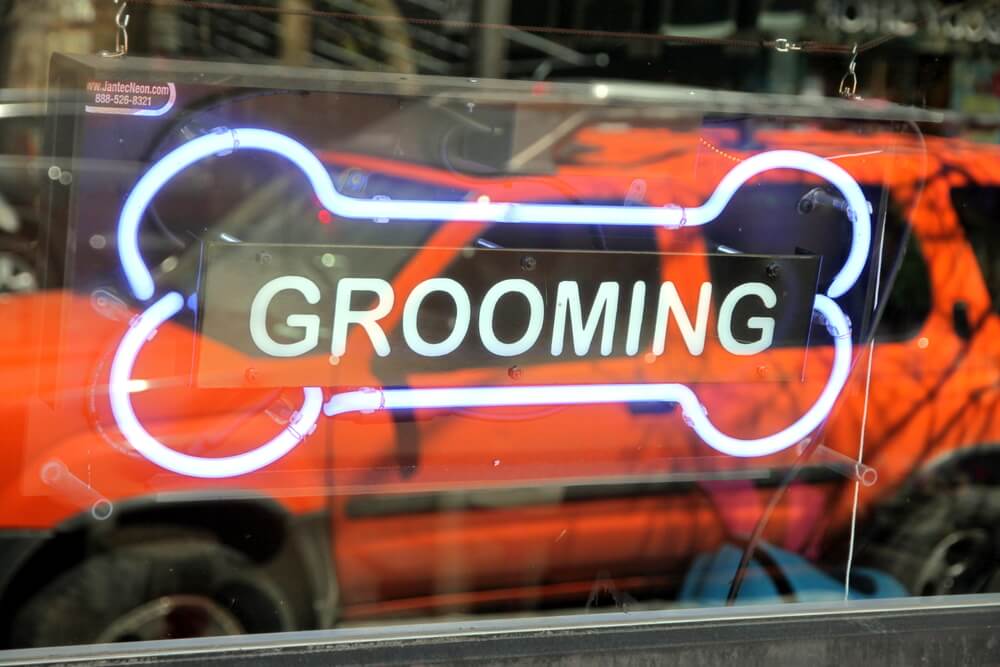 100+ Dog Grooming Business Name Ideas for 2023