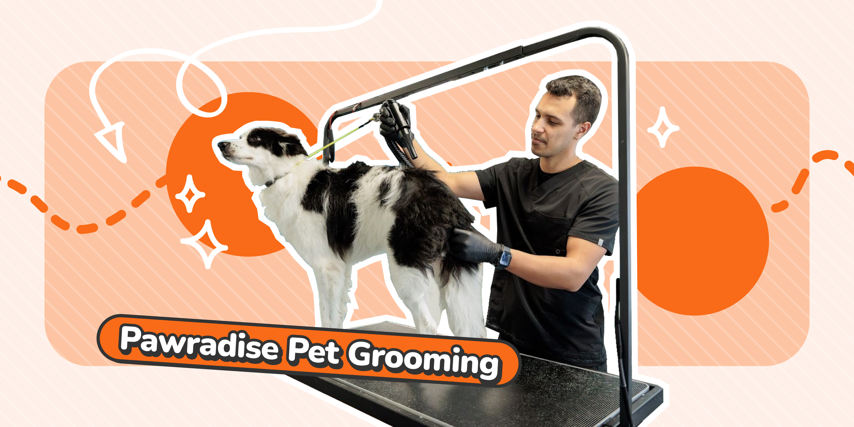 How Pawradise Pet Grooming Creates a Lifestyle Community Beyond Grooming