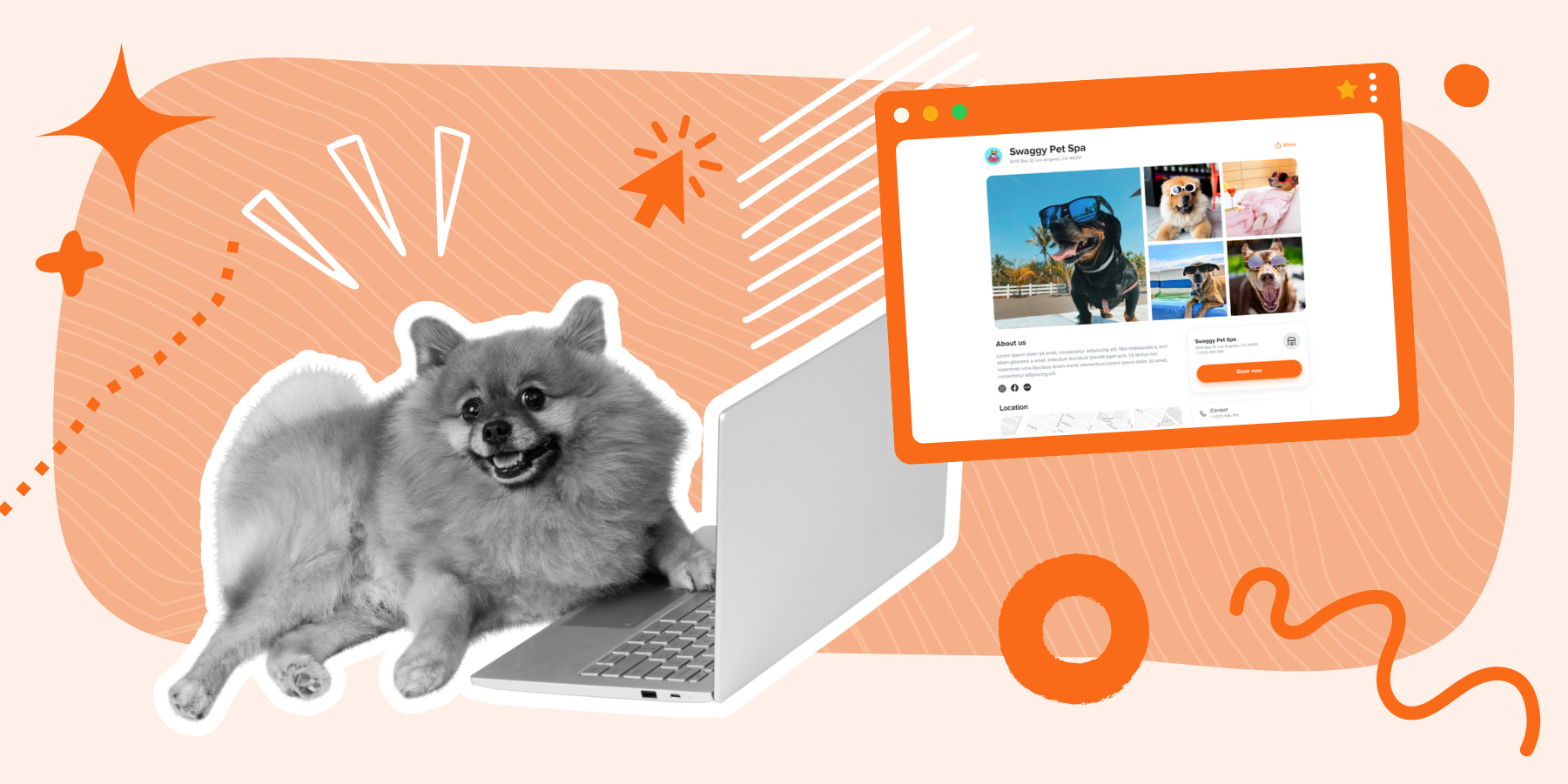 The Ultimate Guide to Pet Grooming Business Websites