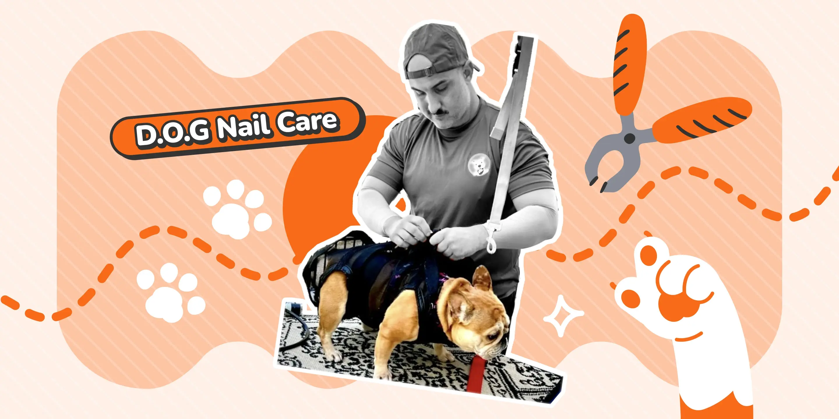 How D.O.G Nail Care Professionals Streamlined Mobile Pet Services with MoeGo