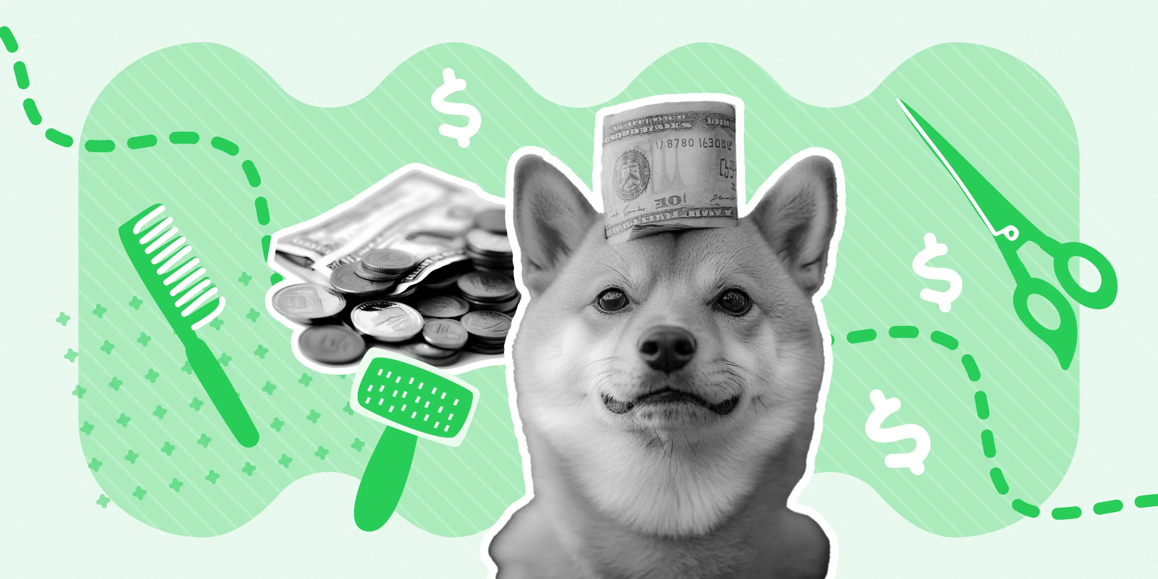 How Much is Dog Grooming? A 2025 Cost Guide for Pet Owners