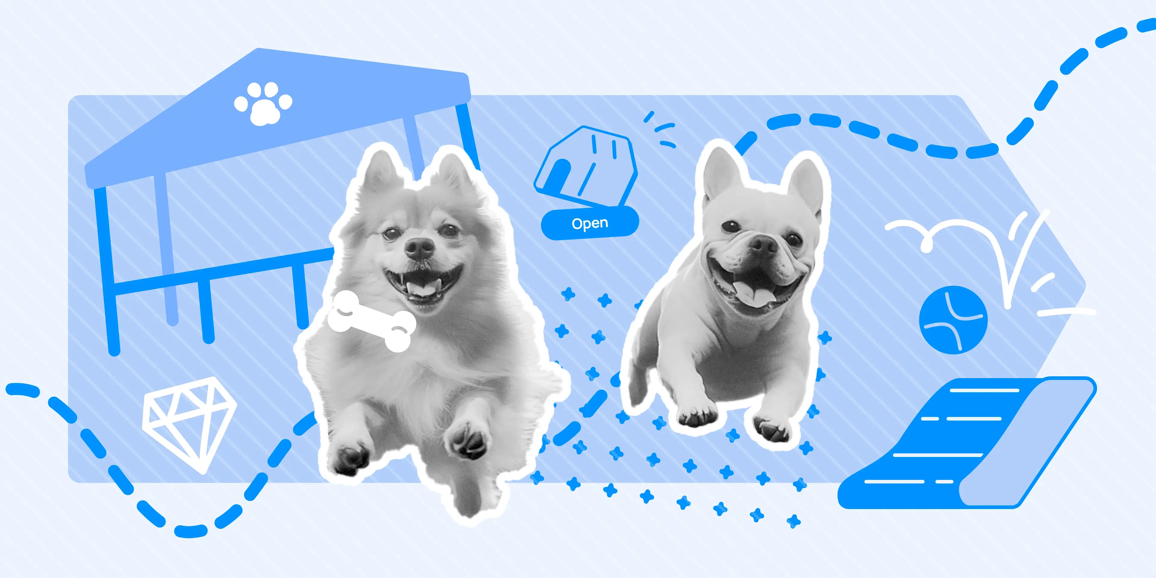 How to Start a Dog Boarding Business happy dogs at boarding and daycare
