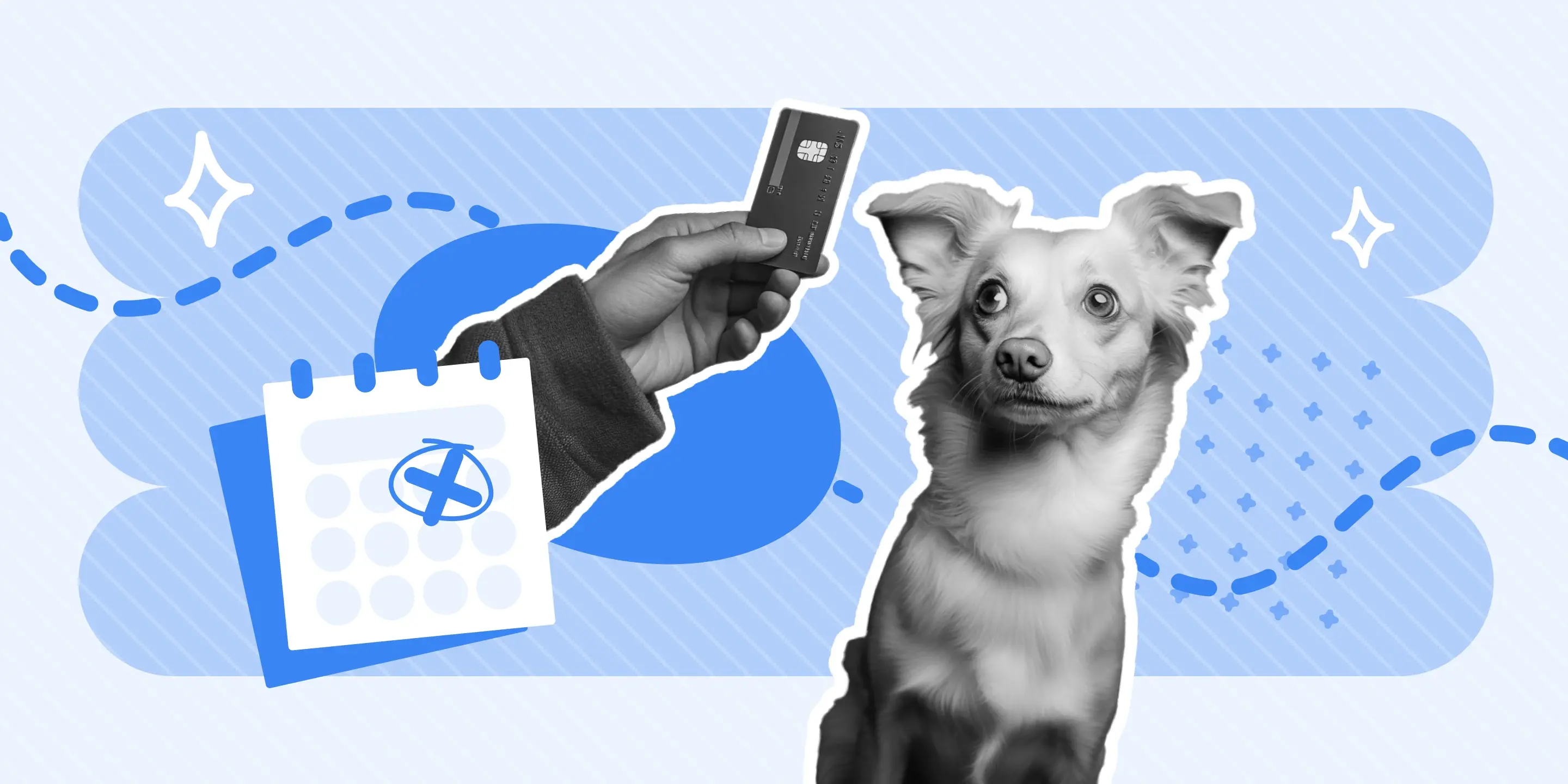 How Pet Groomers Can Reduce No-shows - MoeGo 