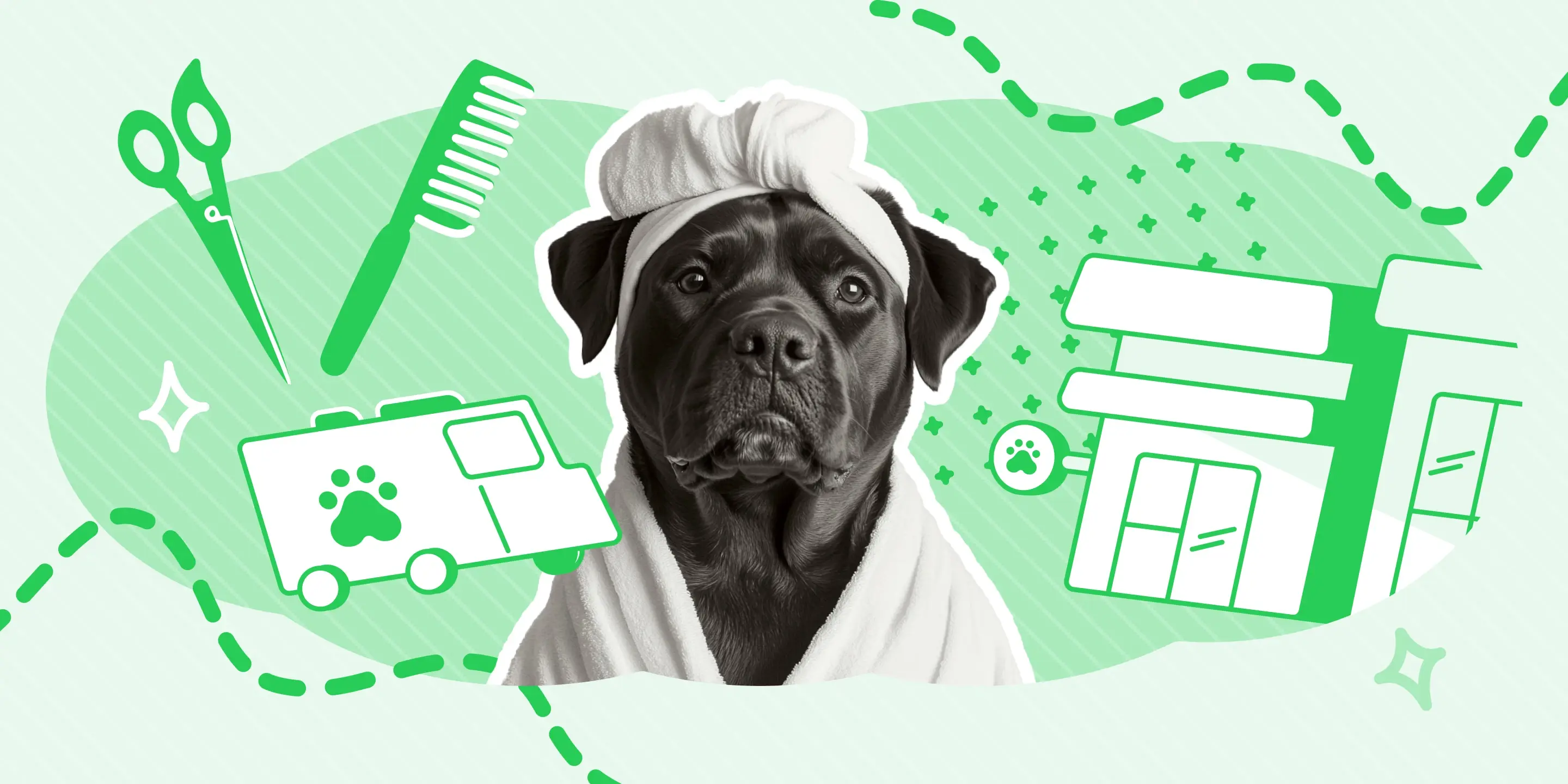 Pet Grooming Business Models (Salon, Mobile, and At-Home) - MoeGo