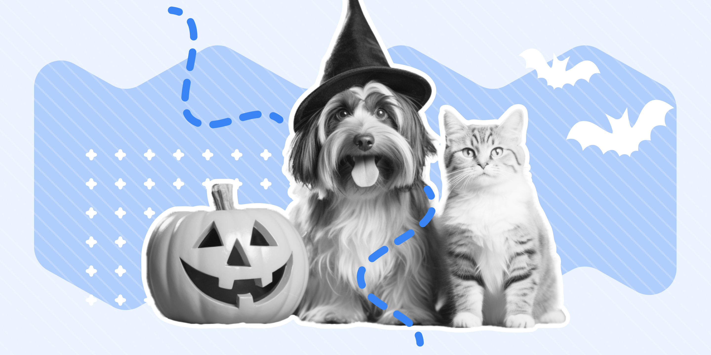 Tricks, Treats, and Tails: Your Grooming Business’s Halloween Success Guide