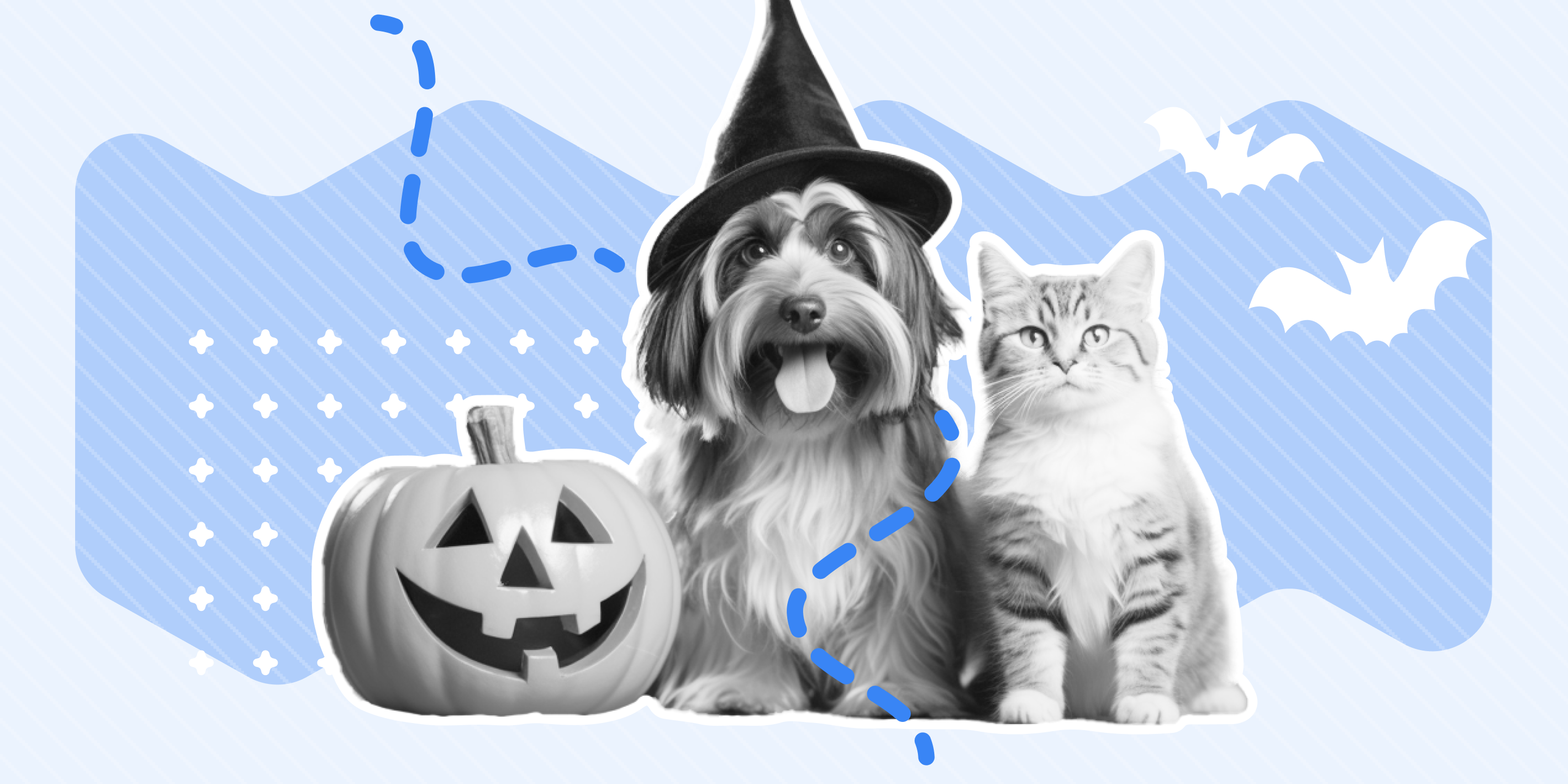 Halloween Costume Contest at Wag 'N' Tails