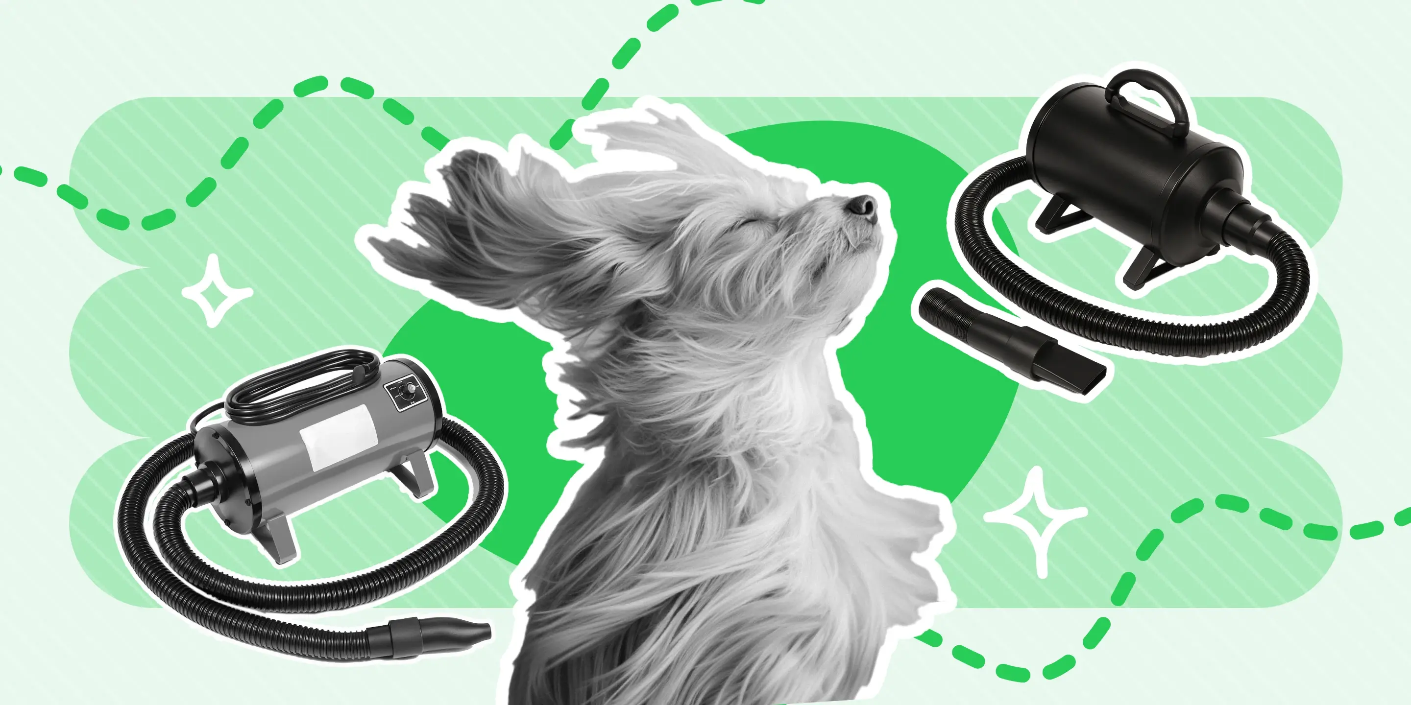 The Best Professional Dog Grooming Dryers of 2023